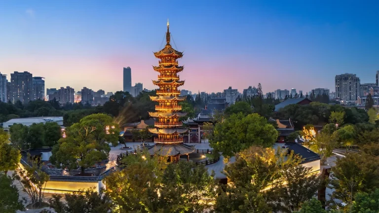 zhongan-online-pcs-profit-surges-in-h1-2025