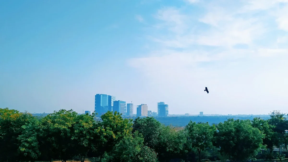 Everest re expands to india with new office in gift city  rein asia