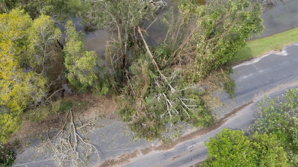 insurance-market-loss-from-cyclone-alfred-down-to-a1-92m-perils-estimates