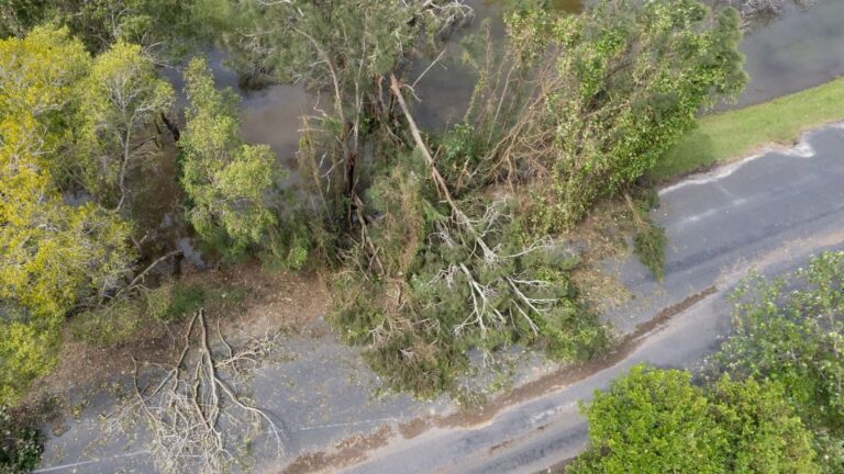 insurance-market-loss-from-cyclone-alfred-down-to-a1-92m-perils-estimates