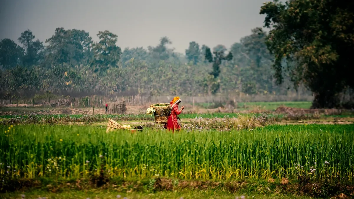 Jba risk management launches updated india crop model  rein asia