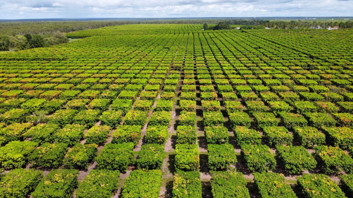 360 underwriting expands into crop insurance with cru acquisition  rein asia