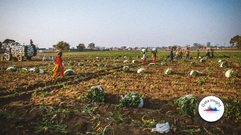 Amid rebrand Bajaj sees strong September premium growth as Agriculture Insurance Company leads Indias GI sector