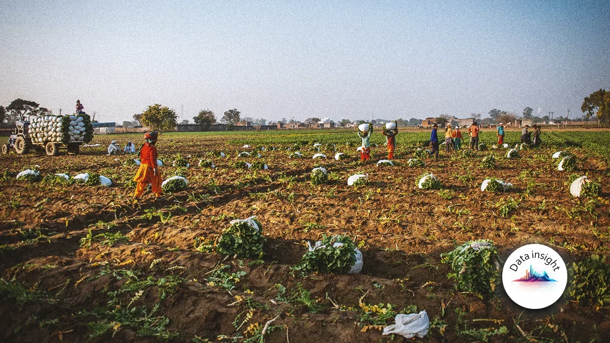 Amid rebrand Bajaj sees strong September premium growth as Agriculture Insurance Company leads Indias GI sector
