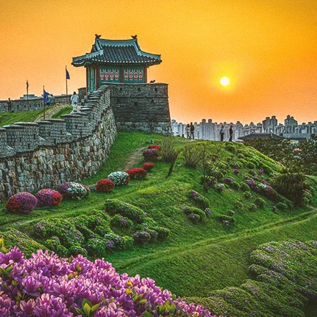 ByCountry_SouthKorea