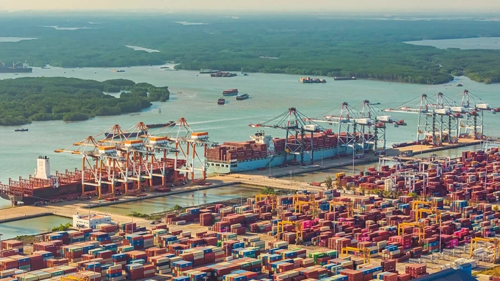 Vietnam Export