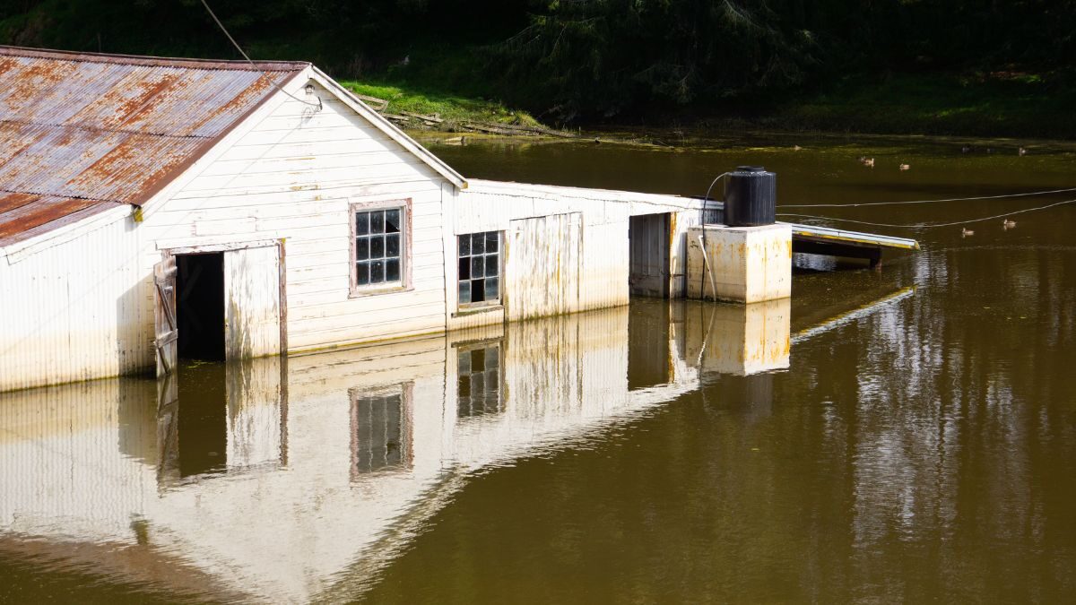 Nhc levy to remain unchanged as government moves to ease household pressure  rein asia