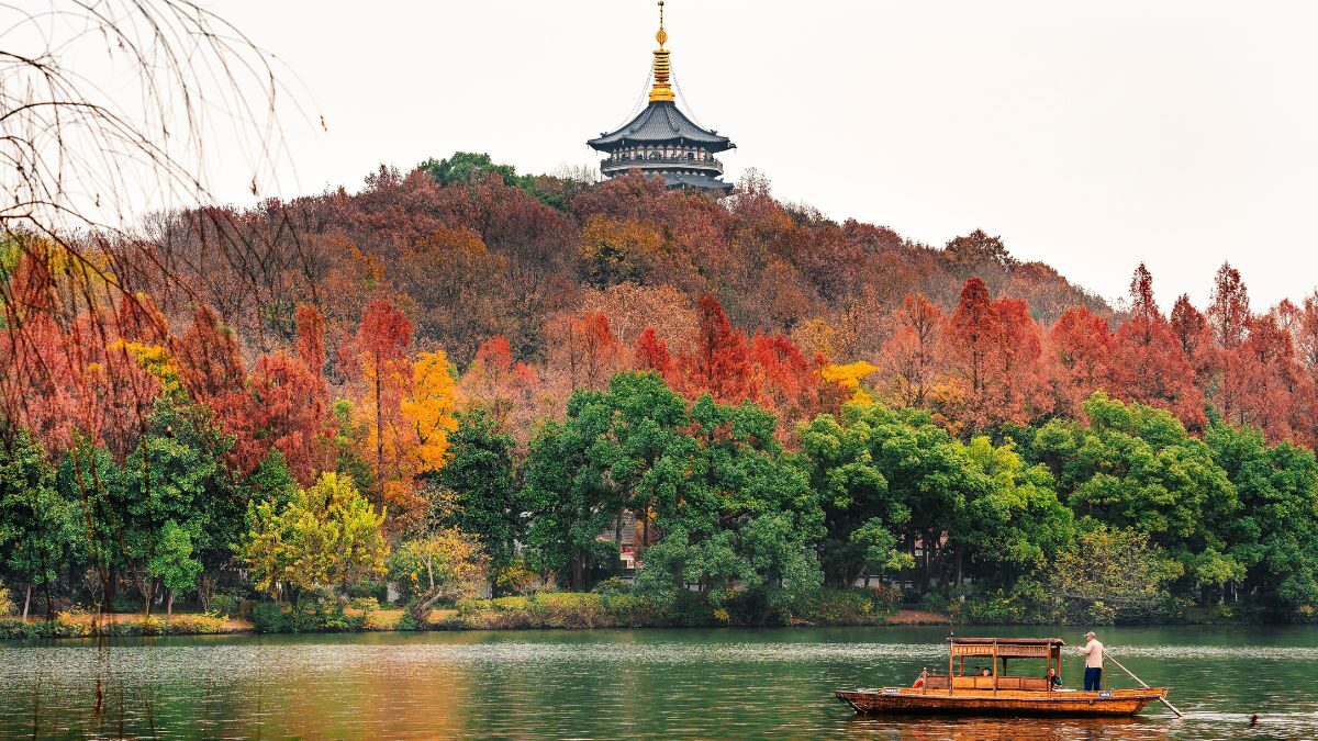 Ping an reveals conservation initiative for ancient trees in china  rein asia