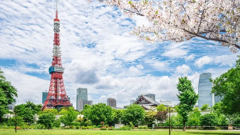 providing a locally tailored cloud system designed to meet Japans regulatory and operational demands