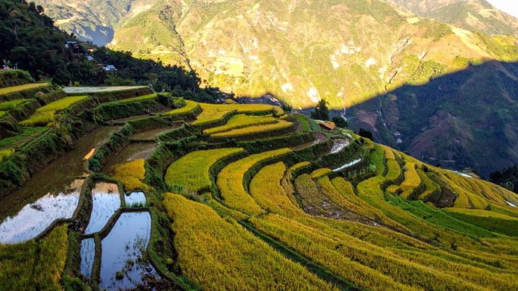 Philippines scales up crop insurance as climate risks intensify