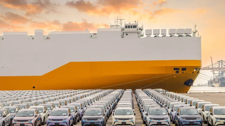 chinas-ev-losses-prompt-insurers-to-rethink-global-coverage