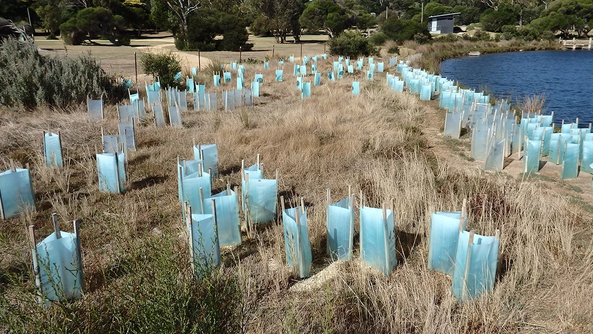 Scor axa launch lloyds consortium to de risk ecological restoration projects  rein asia