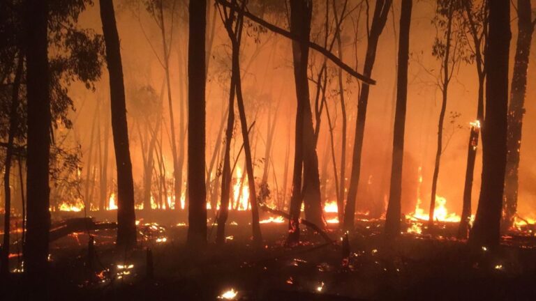 victoria-bushfires-lifted-to-insurance-catastrophe-as-claims-near-2400