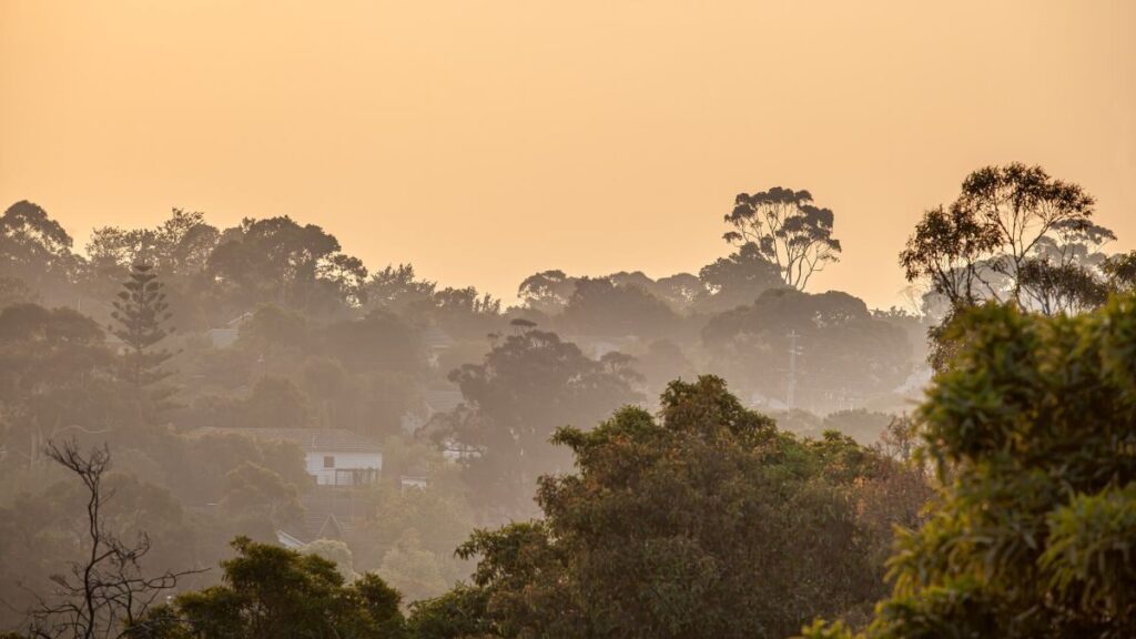 victorian-bushfires-insurers-start-logging-early-claims-as-assessments-begin