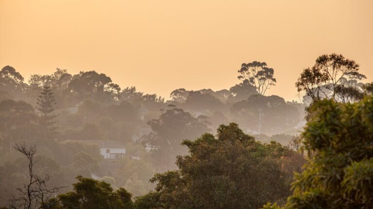 victorian-bushfires-insurers-start-logging-early-claims-as-assessments-begin