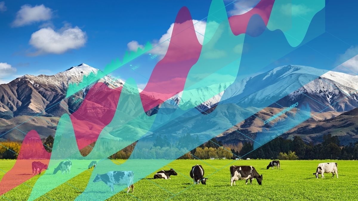 Below average cat losses disciplined pricing backs fmg insurances robust 2025 performance  am best  rein asia