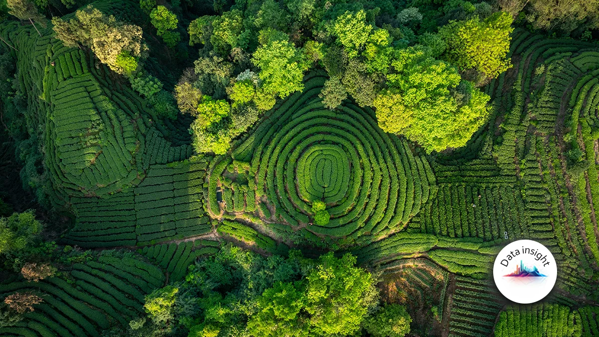 china-insurance-premiums-grow-5-38-in-december-2025-but-claims-climb-faster