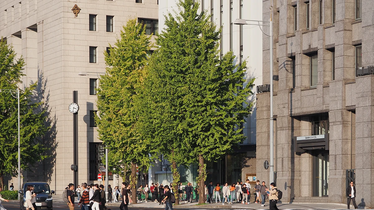 Dai ichi life restructures domestic insurance units announces leadership changes  rein asia