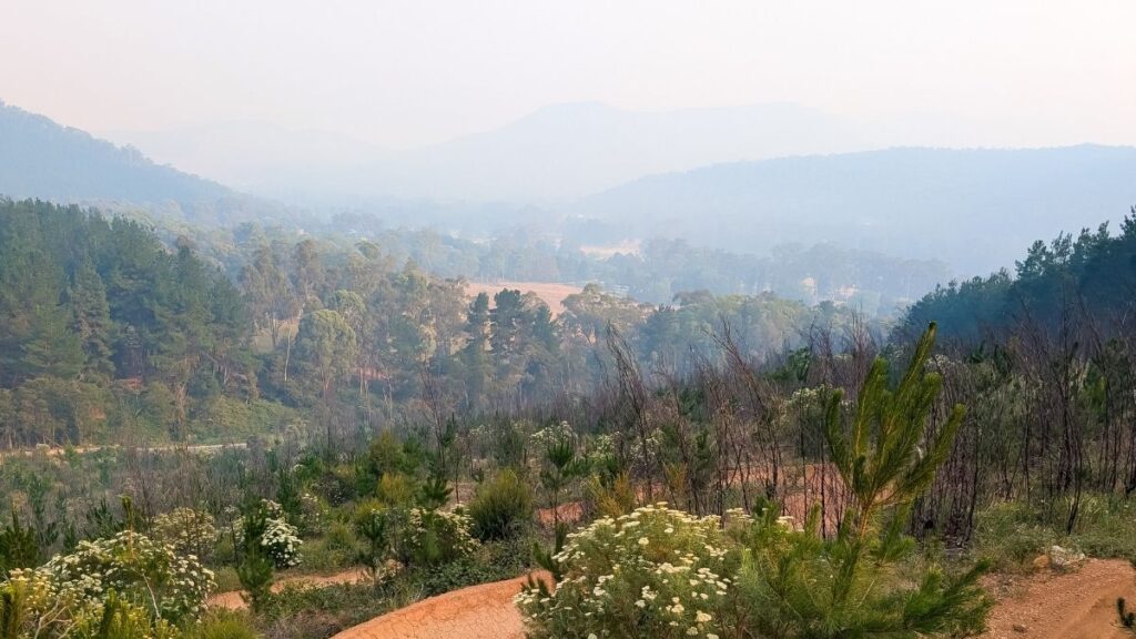 perils-pegs-initial-insurance-loss-from-victoria-bushfires-in-january-at-a786m