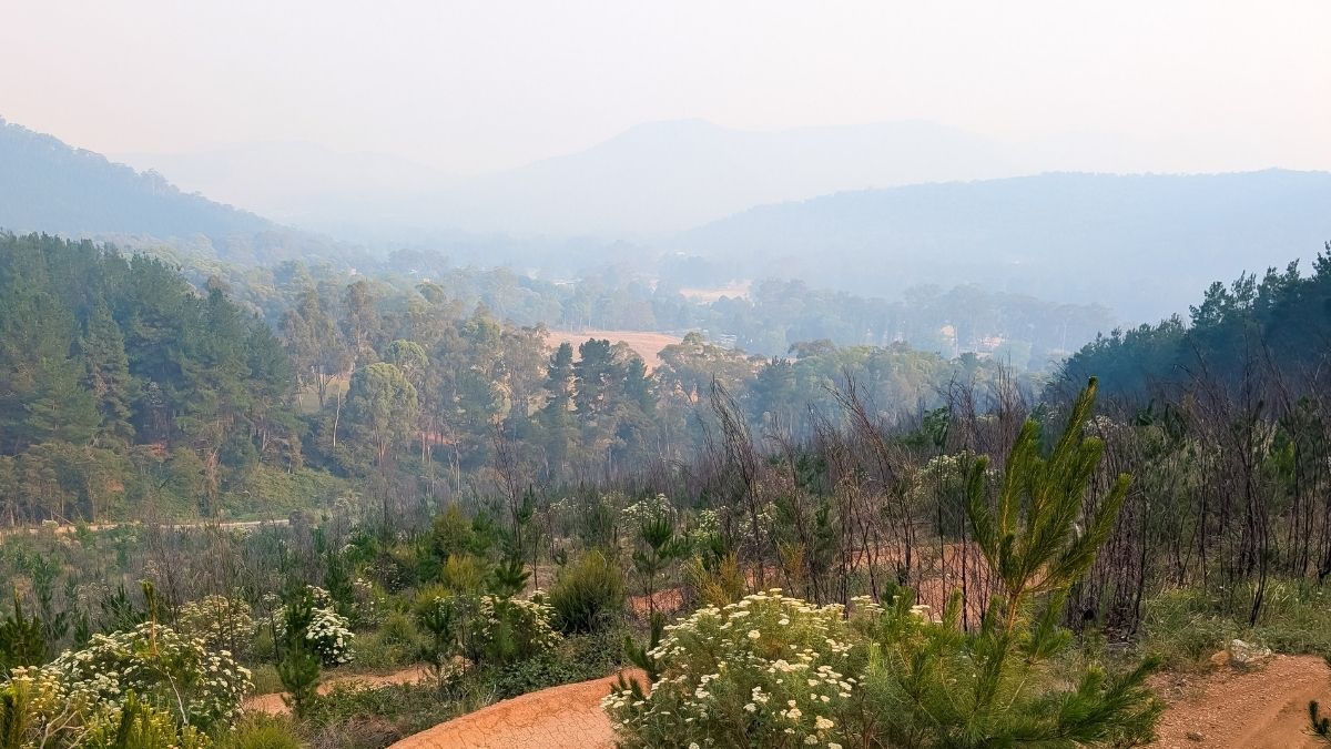 Perils raises january victoria bushfire insurance loss estimate to a0m  rein asia
