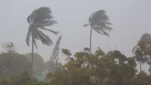 Allianz flags rising civil unrest in asia pacific as key risk for insurers  rein asia