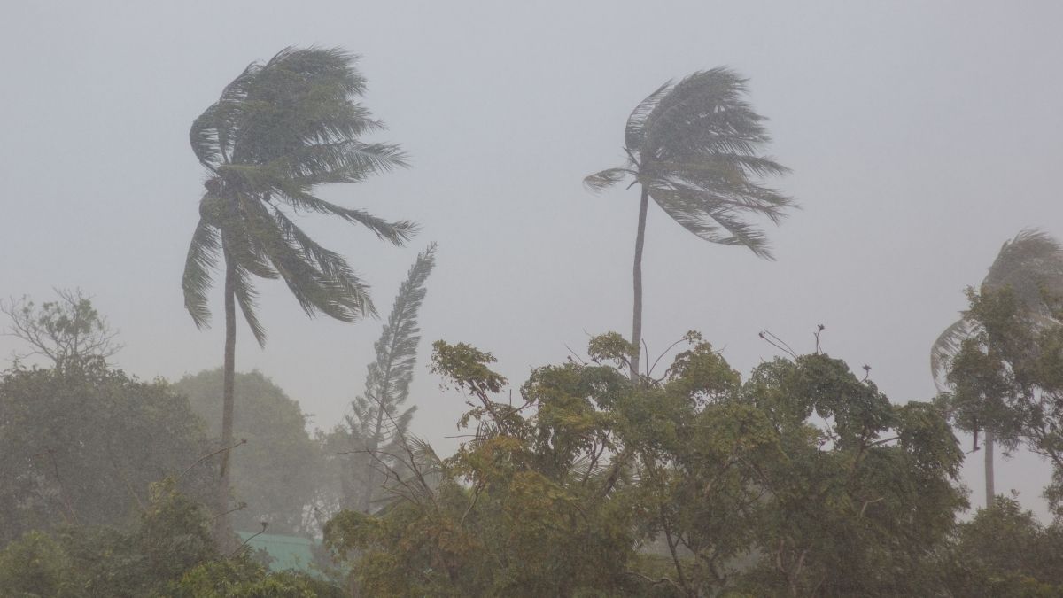 Wmo flags high risk of el niño formation in coming months  rein asia
