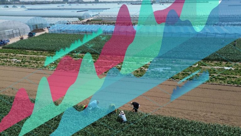 fitch-ratings-upgrades-zhongyuan-agricultural-insurance-to-a