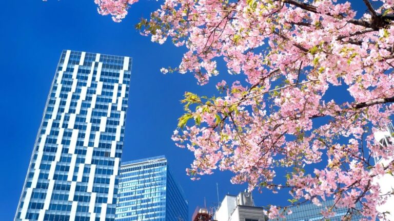 giaj-drives-agency-overhaul-risk-management-programmes-to-lift-industry-standards