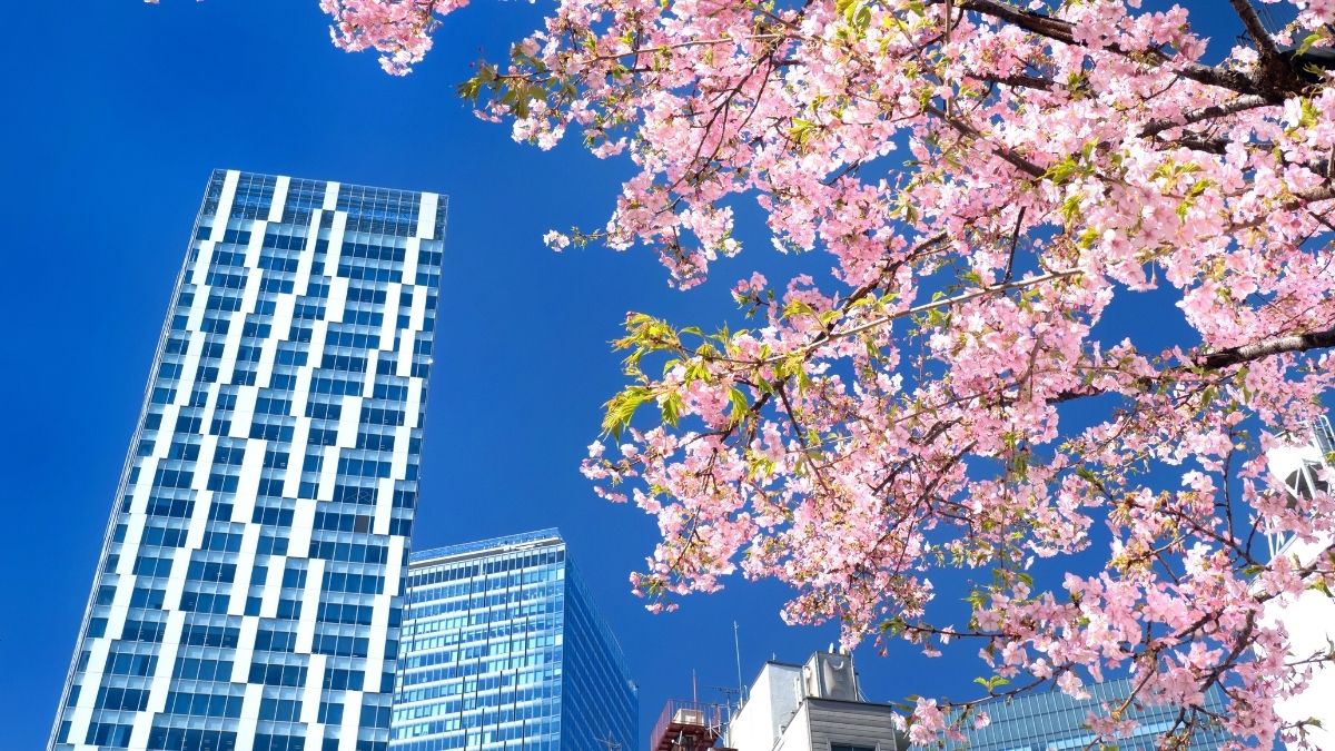 Giaj launches new misconduct management system expands risk management programmes  rein asia