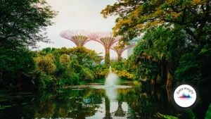 singapore-gi-direct-insurers-lift-underwriting-profit-despite-softer-q4-premiums