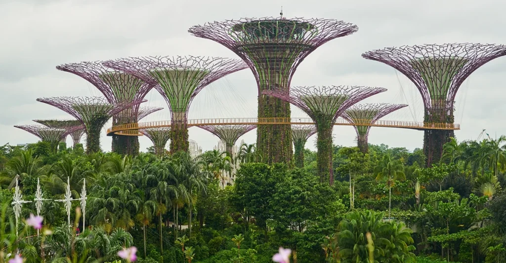 singapores-central-bank-to-label-investment-linked-policies-complex-as-it-sharpens-fair-dealing-push