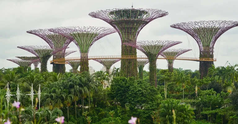 singapores-central-bank-to-label-investment-linked-policies-complex-as-it-sharpens-fair-dealing-push