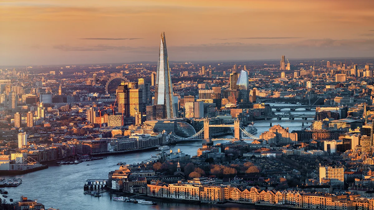 Sodalis capital acquires amiga specialty  rein asia