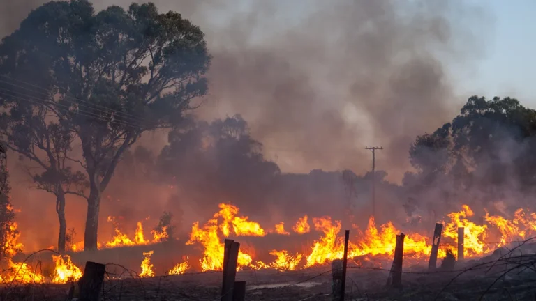 iag-renews-aboriginal-carbon-foundation-partnership