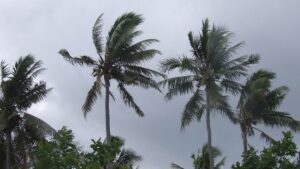 pacific-catastrophe-risk-insurance-approves-us546k-payment-to-fiji-for-cyclone-vaianu