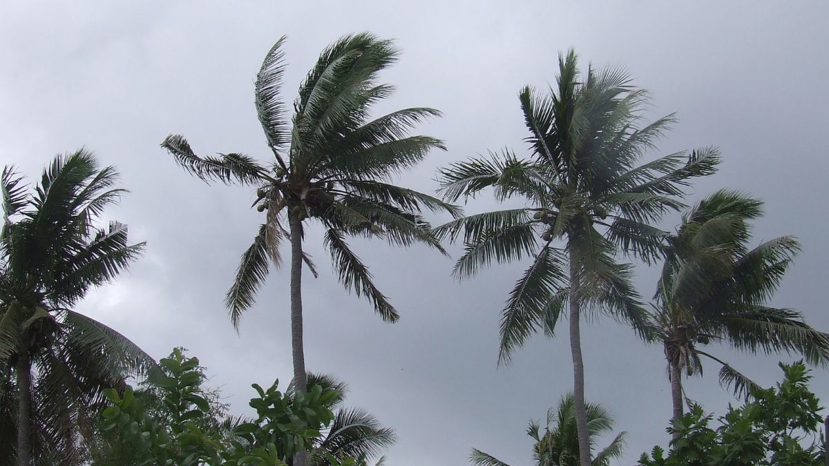 Fiji gets us0k support from pcric after cyclone vaianu falls just short of cover trigger  rein asia