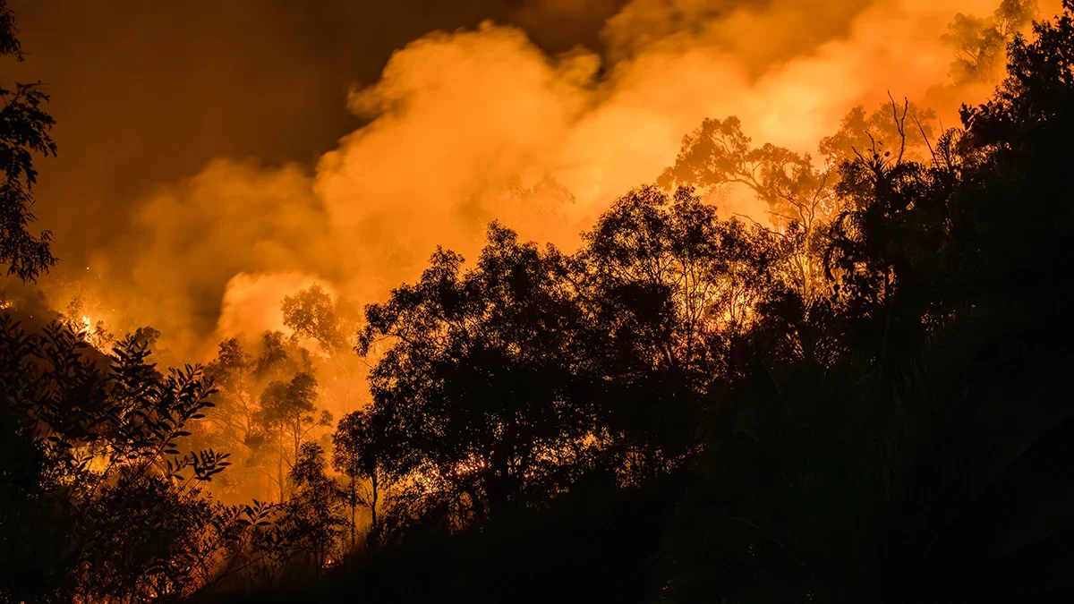 Perils raises victoria january bushfire insurance loss estimate to a0m  rein asia