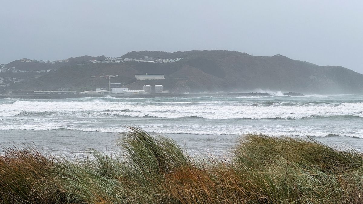 Storm claims in new zealand surge 256 as country hit by record 46 storms in a year  iag  rein asia