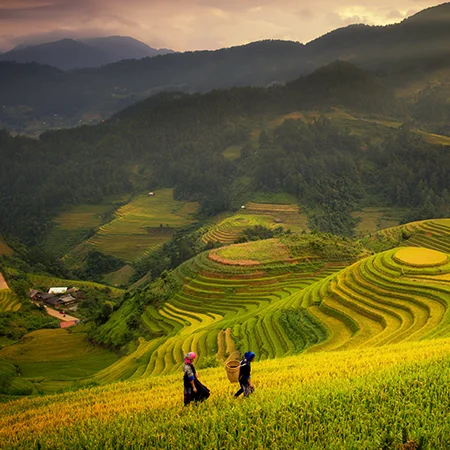 By country-Vietnam