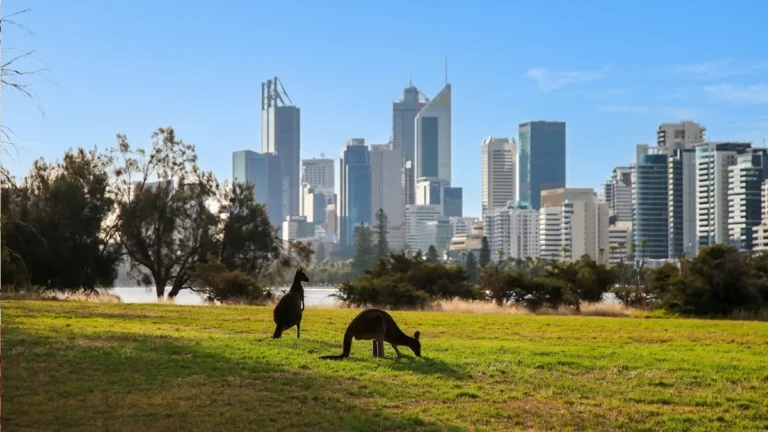 australia-new-zealand-lead-apac-insurance-ma-in-q1-as-india-activity-slows