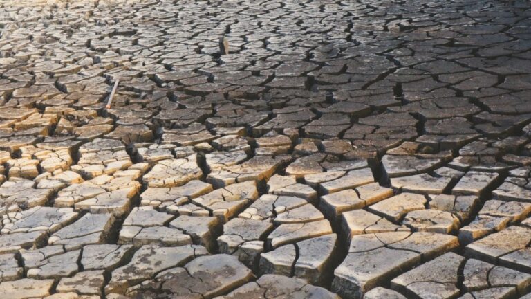 seadrif-launches-first-anticipatory-drought-insurance-pilot-in-laos