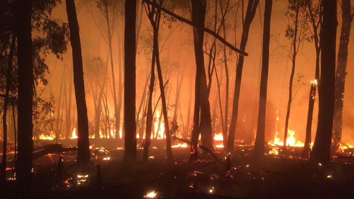 Januarys victorian bushfire claims top 4700  rein asia