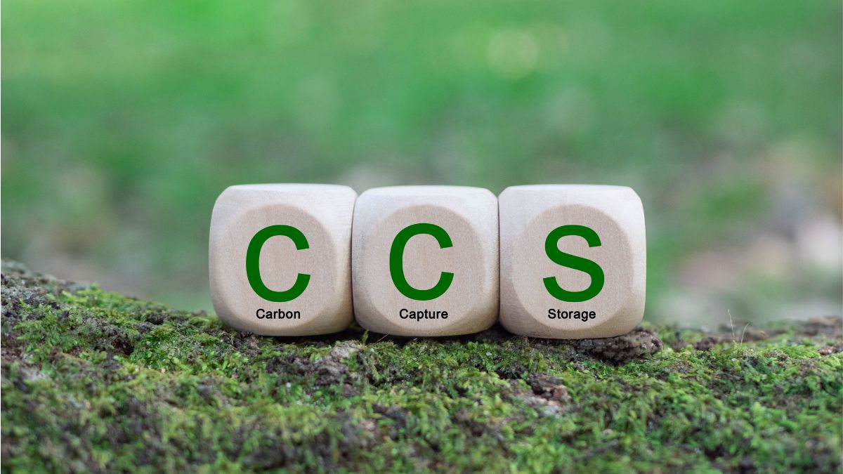 Willis launches integrated carbon capture insurance solution  rein asia