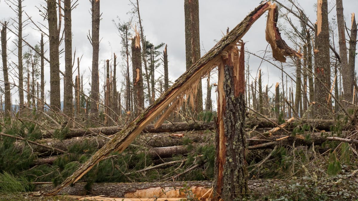 New zealand natural hazards commission expands catastrophe reinsurance cover by 20  rein asia