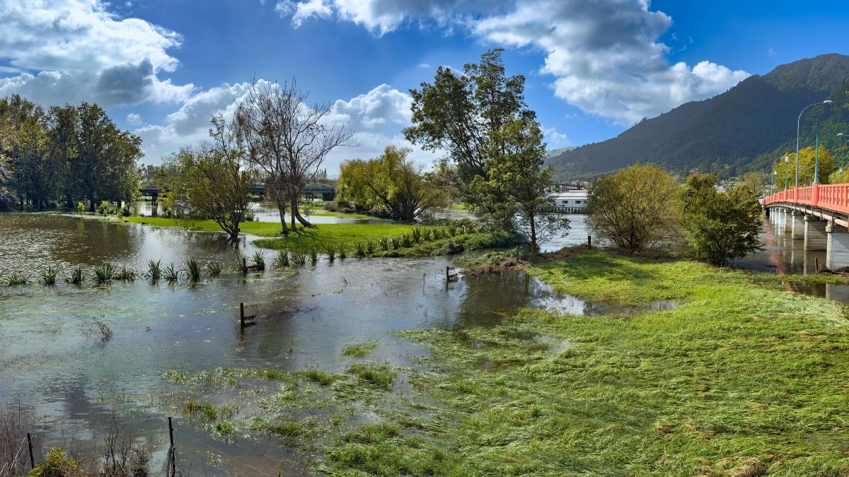Ica icnz formalise resilience alliance as disaster costs rise  rein asia