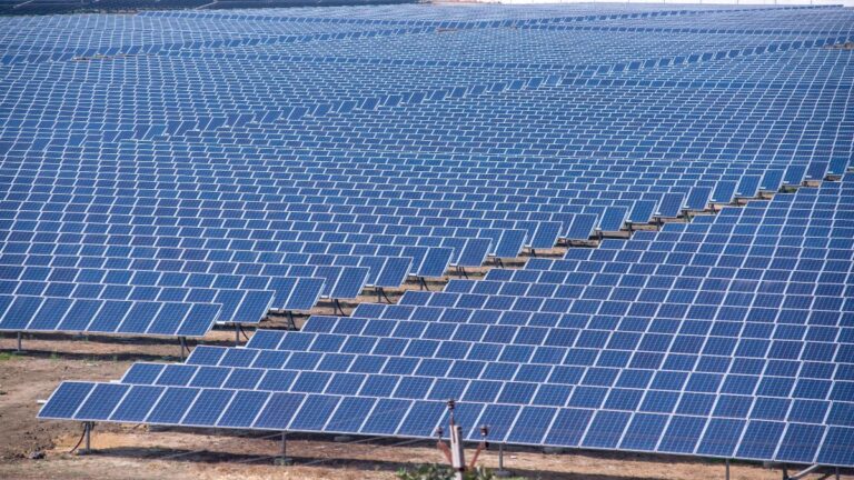 Wide field of blue solar panels arranged in neat rows across a sunny landscape, capturing solar energy.
