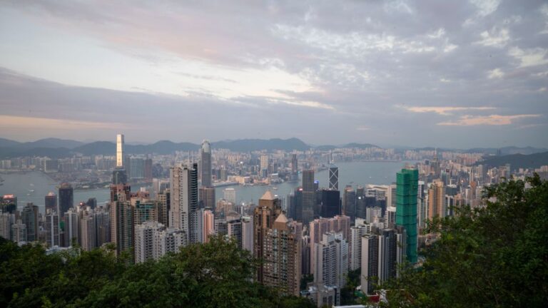 Panoramic view of Hong Kong's skyline over Victoria Harbour with distant mountains and trees in the foreground.