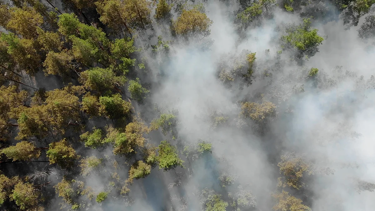 Noaa declares el niño has begun forecasts very strong event  rein asia