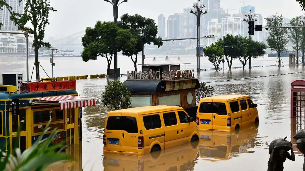 Two yellow vans partially submerged in muddy floodwater on a city street, with trees, a river, and tall buildings in the background.