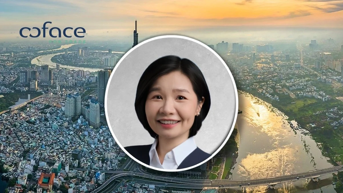 Coface names vy le as vietnam country manager  rein asia